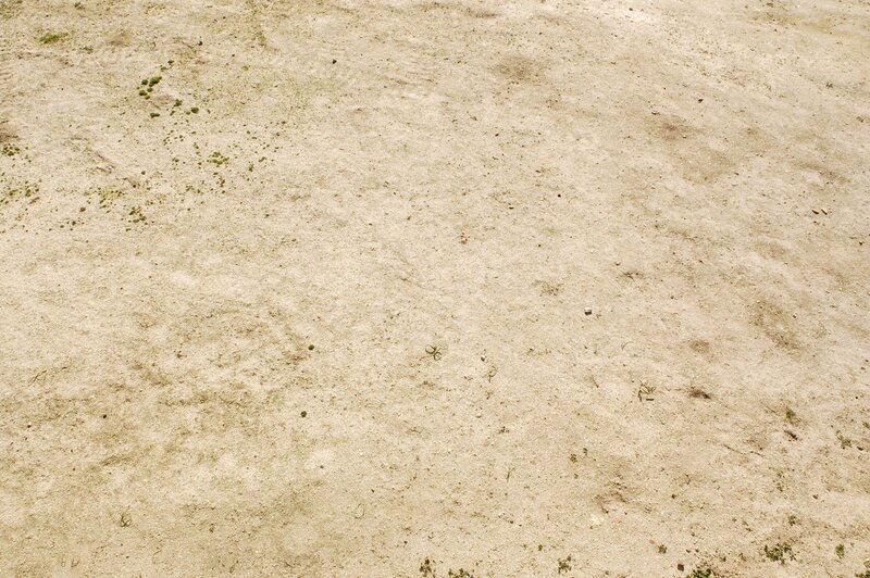 dry sandy ground with sparse vegetation