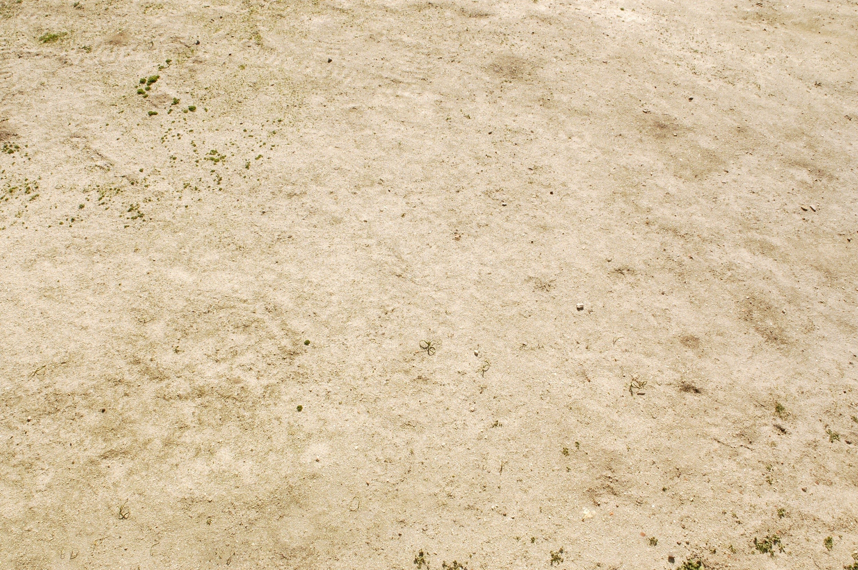 dry sandy ground with sparse vegetation