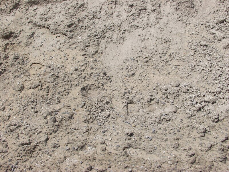Dry Sandy Soil