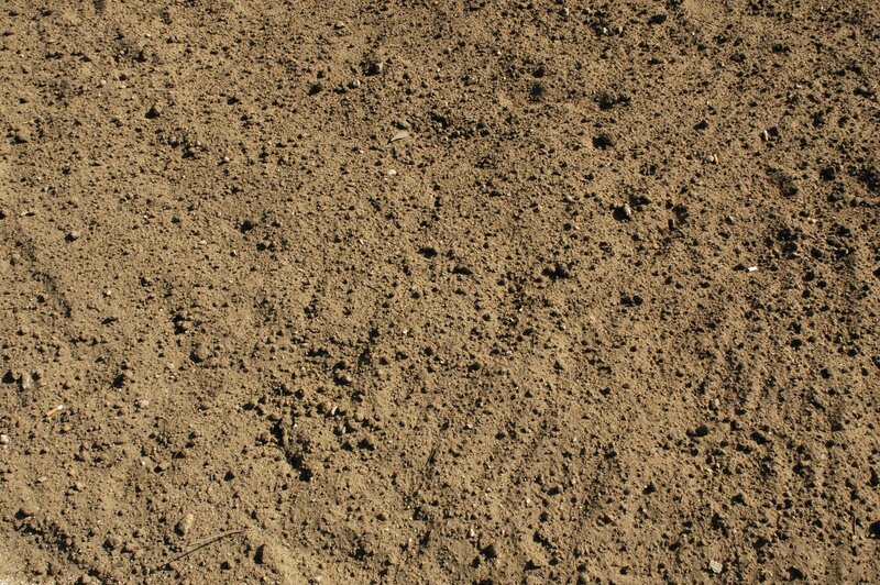 dry soil surface texture