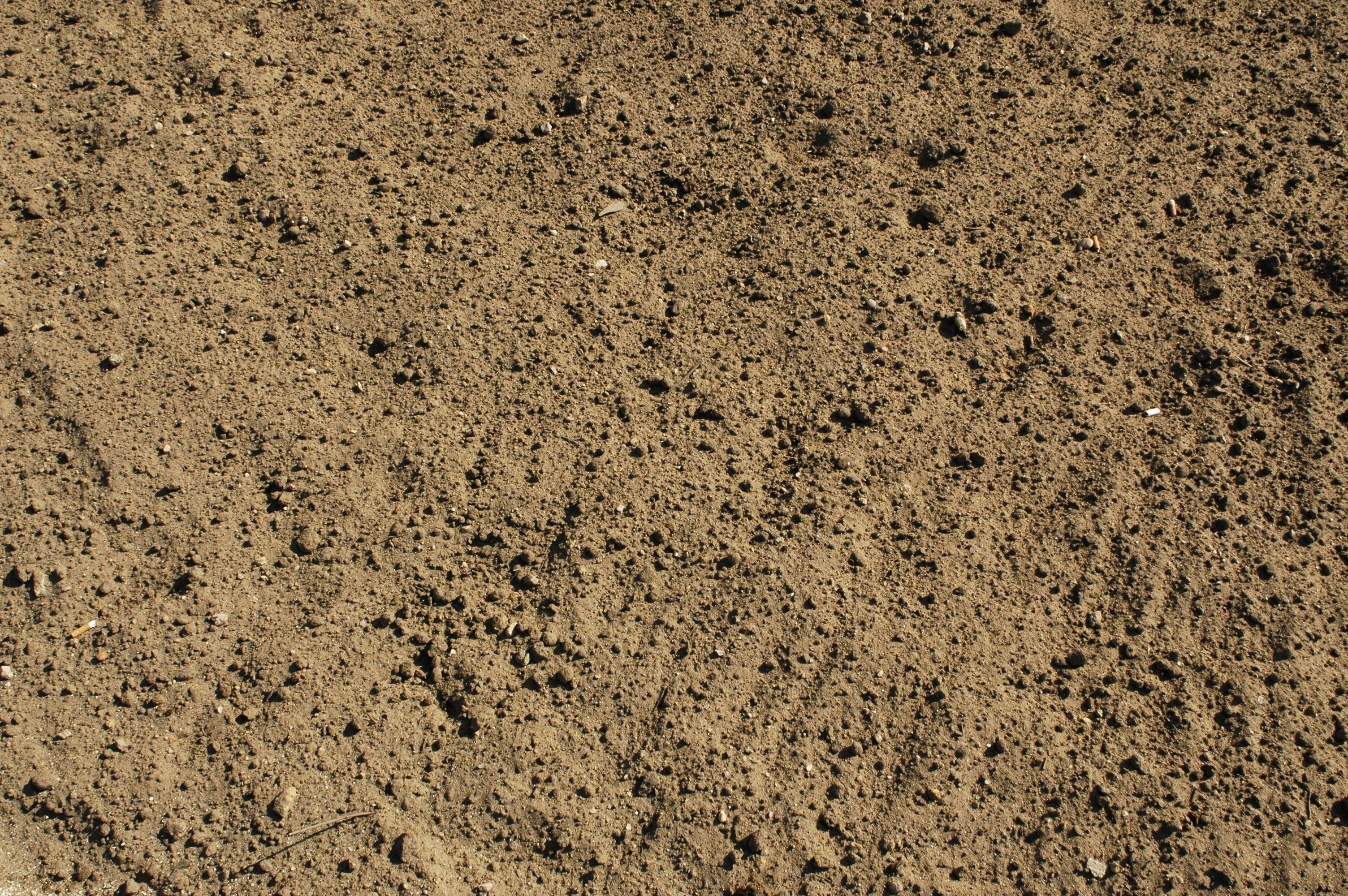 dry soil surface texture