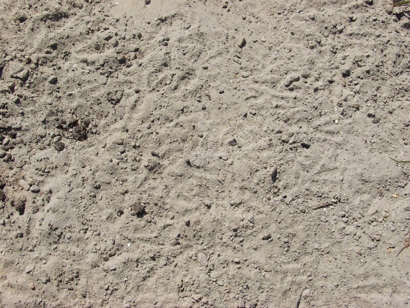 dry soil with footprints