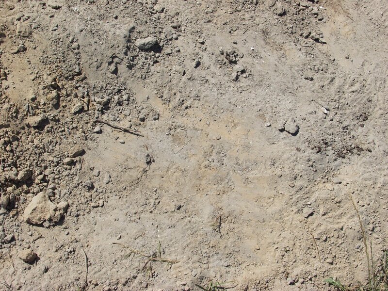 dry soil with rocks