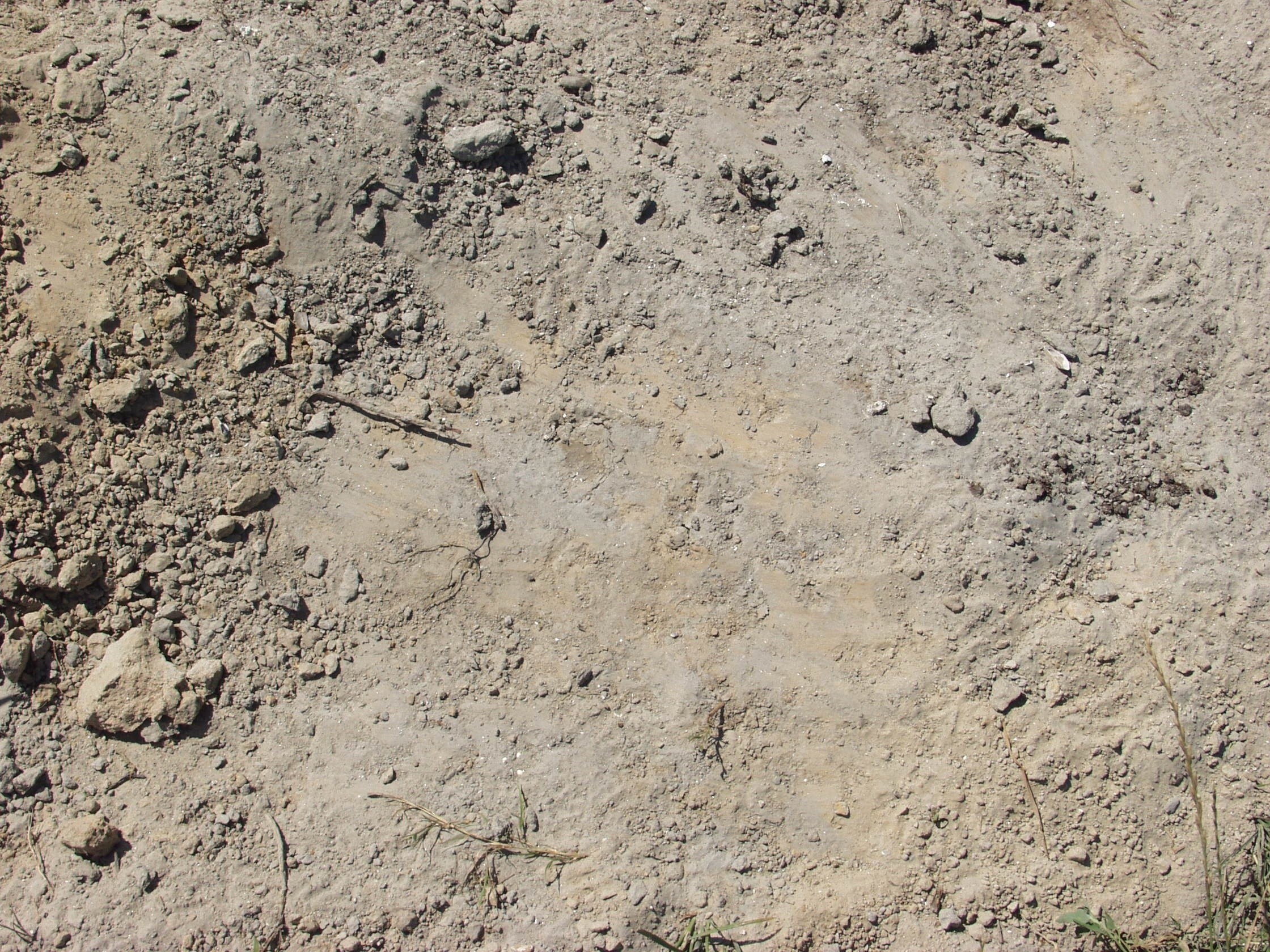 dry soil with rocks