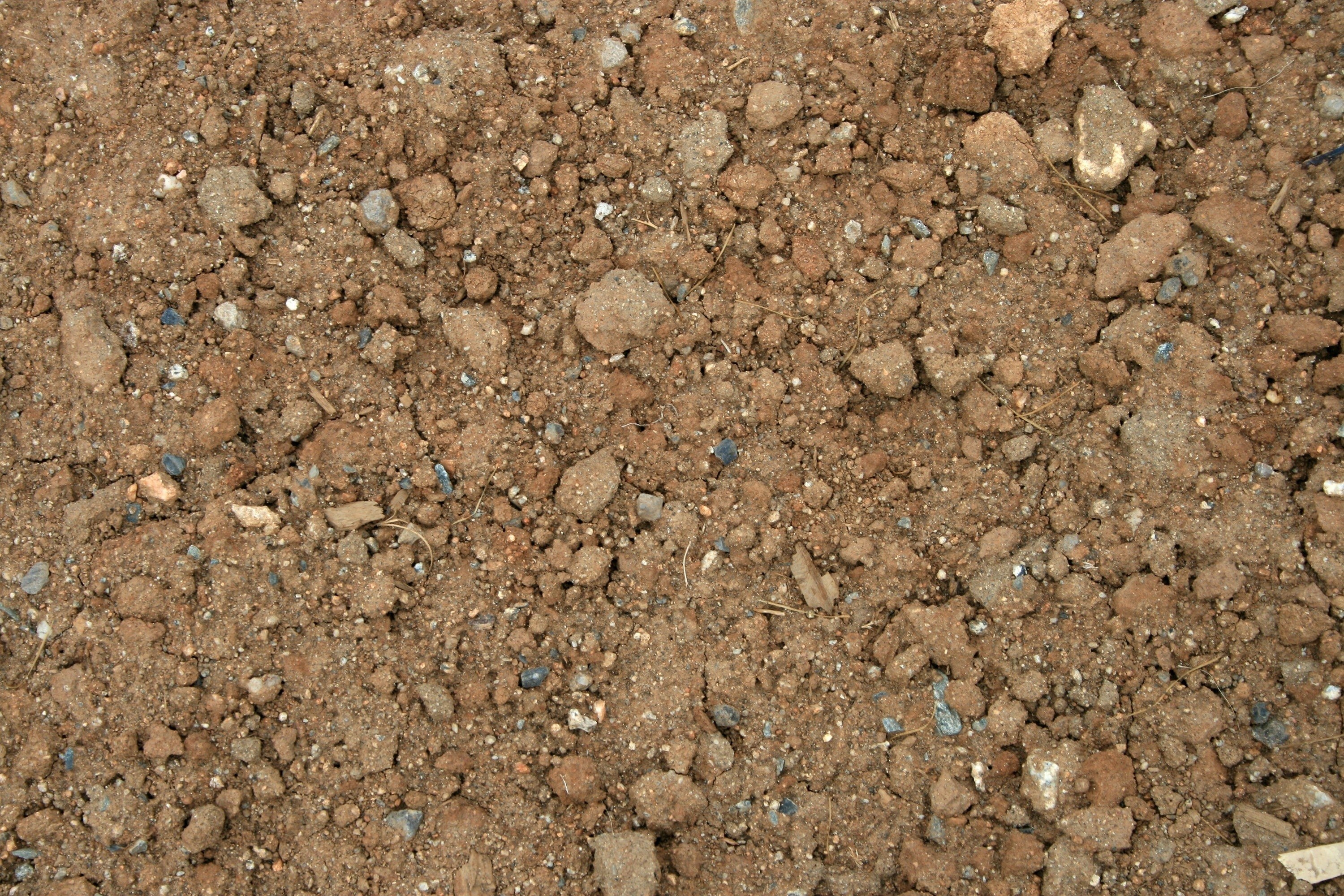 dry soil with small rocks