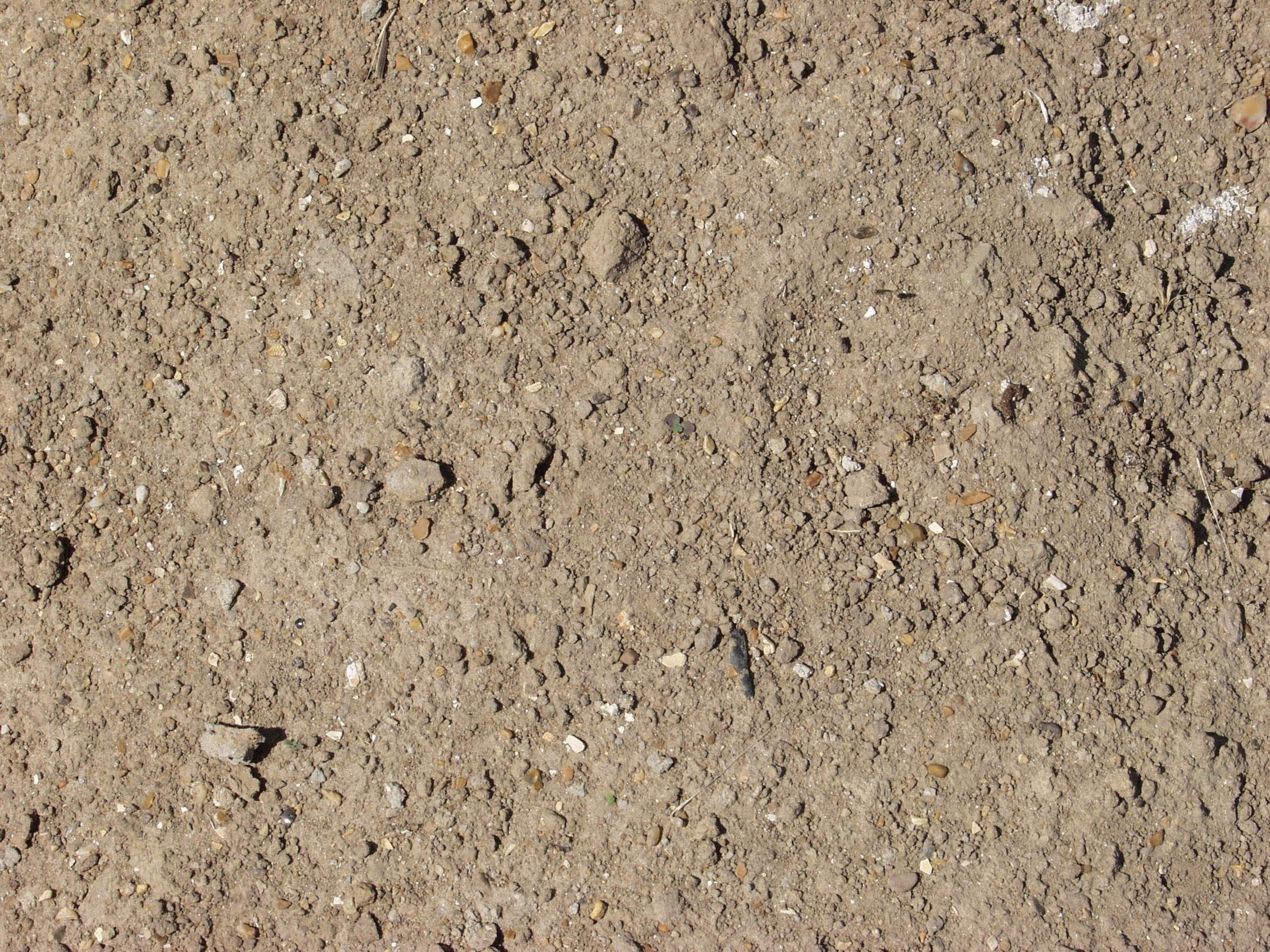 dry soil with small stones