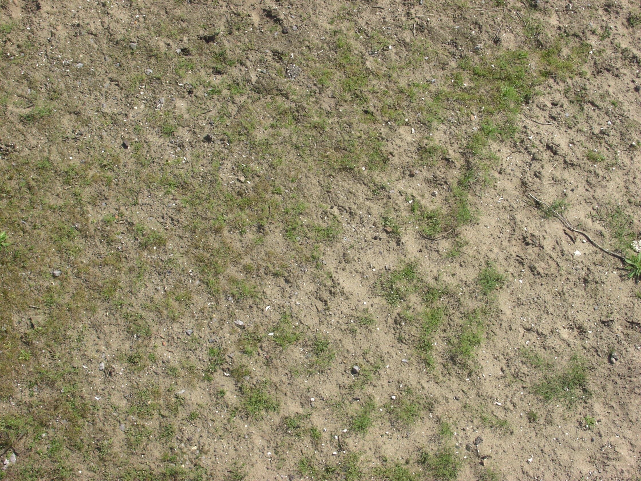 dry soil with sparse grass