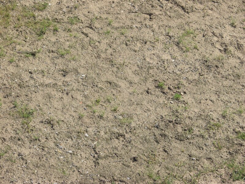 Dry Soil with Sparse Grass — Brown