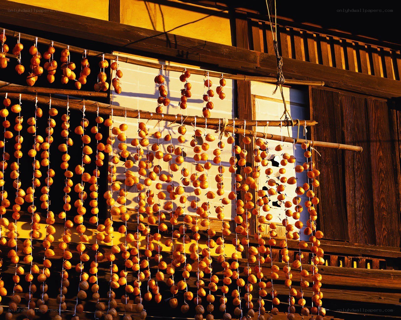 drying persimmons on a porch