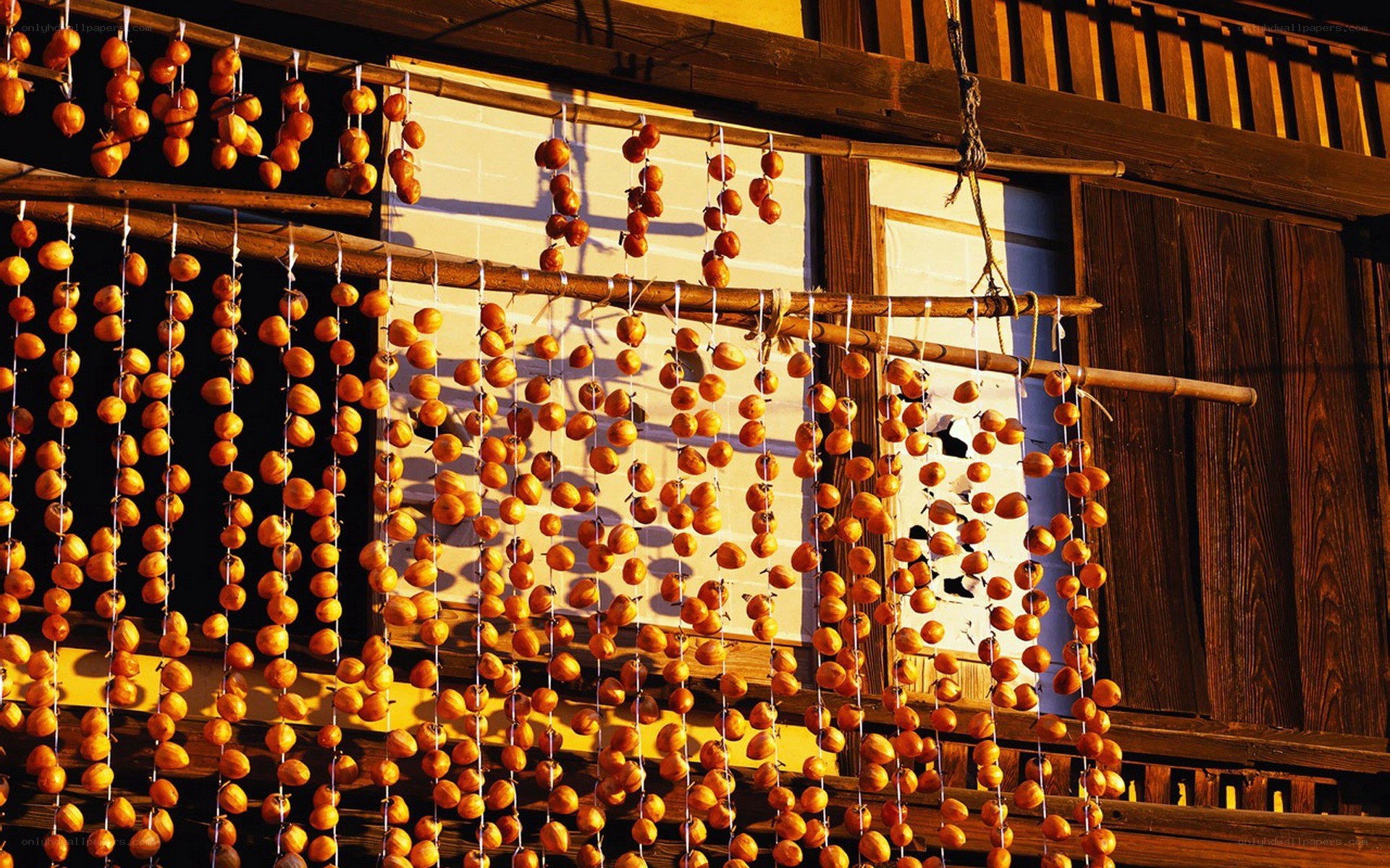 Drying persimmons on a wooden rack