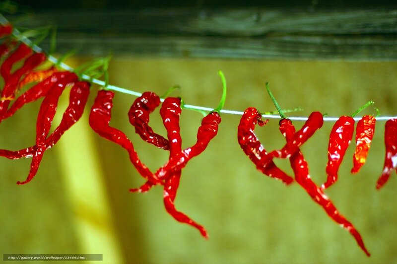 Drying red chili peppers