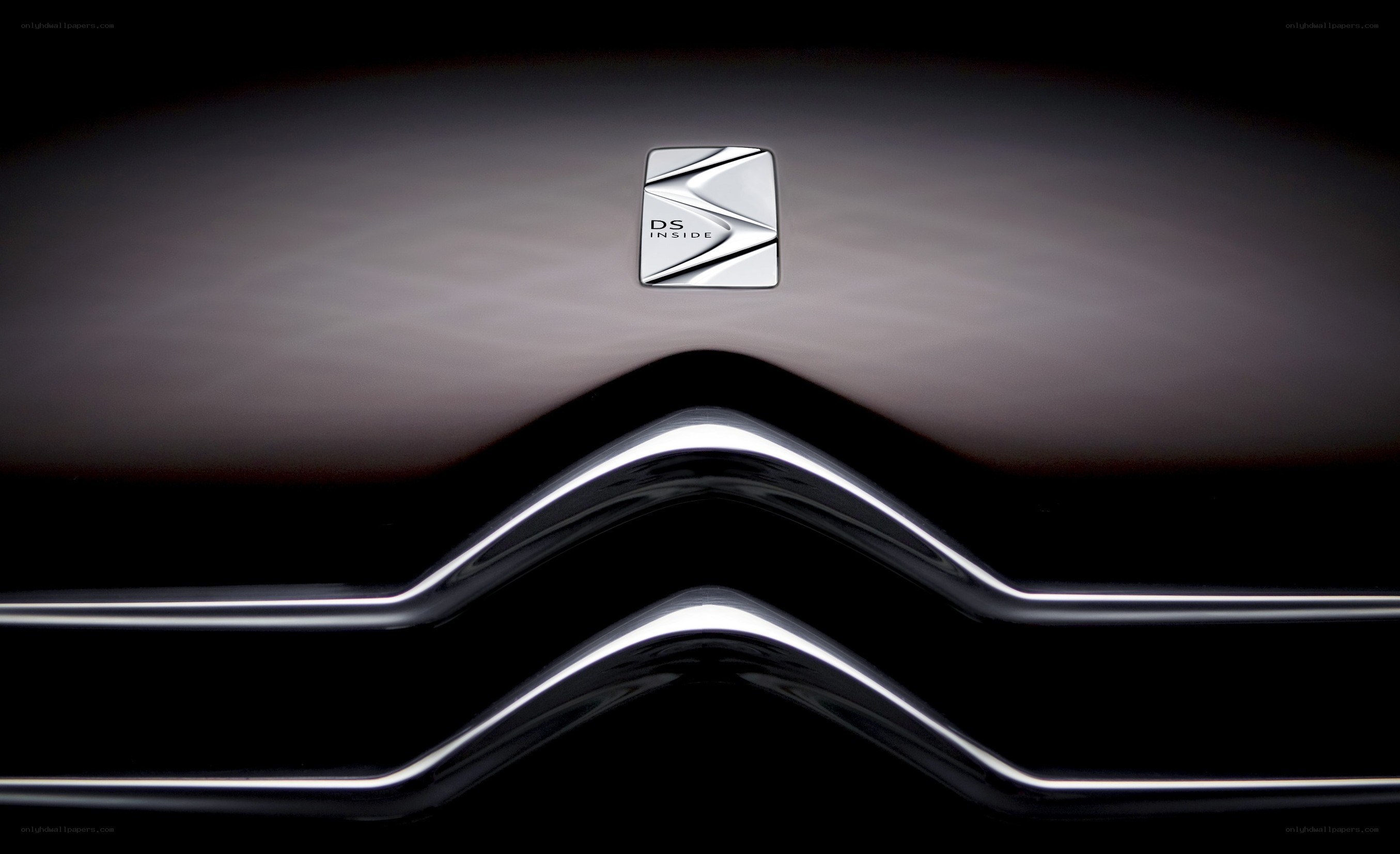 DS Inside car emblem