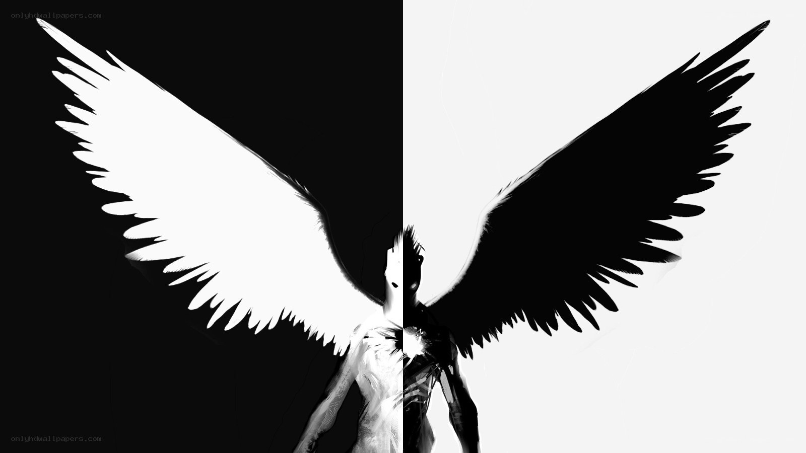 dual angel wings concept