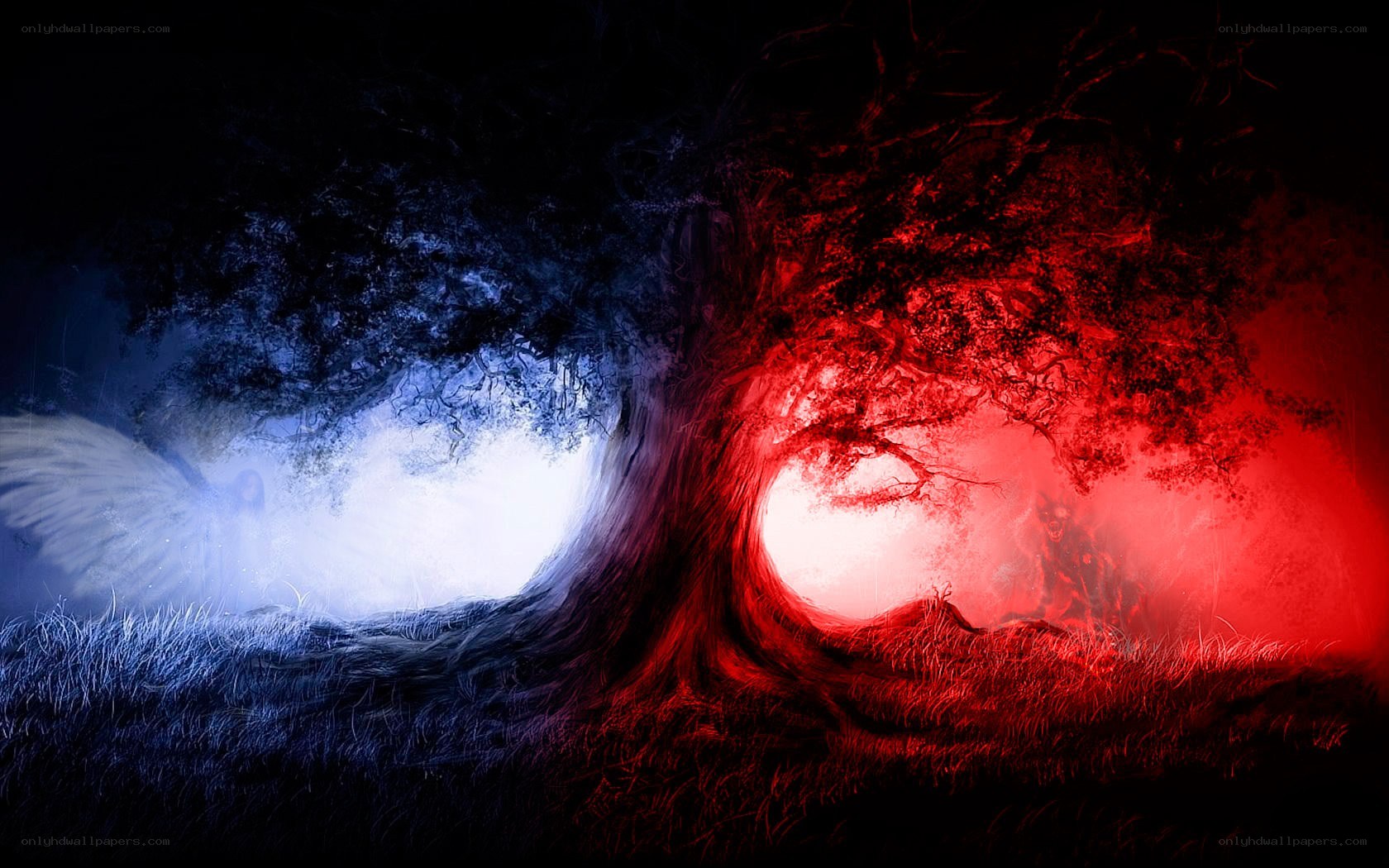 Dual Tree of Light and Shadow