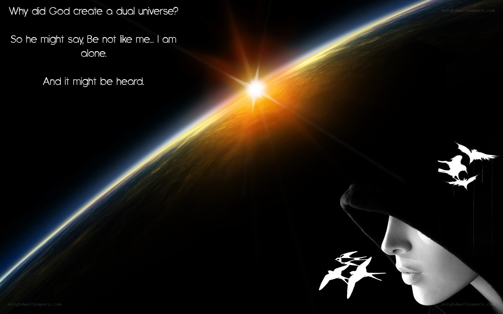 Dual Universe Concept