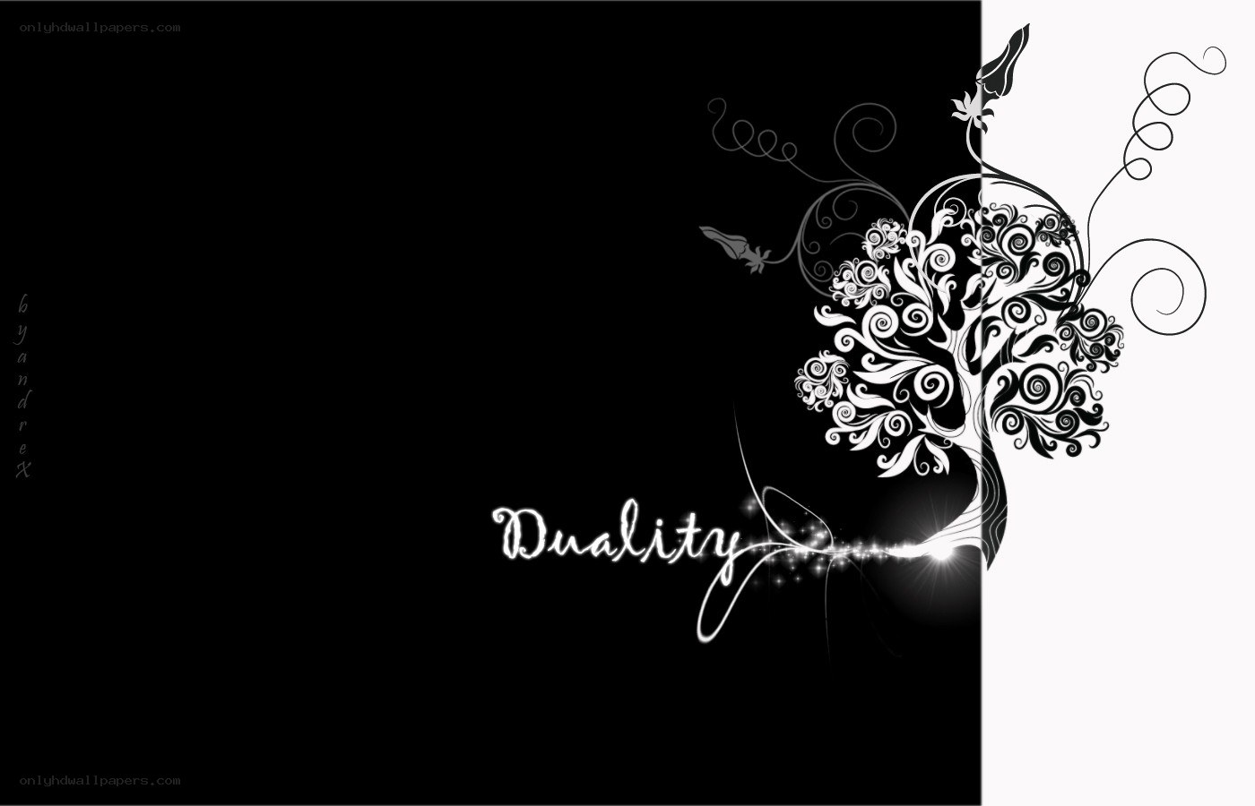 Duality art design