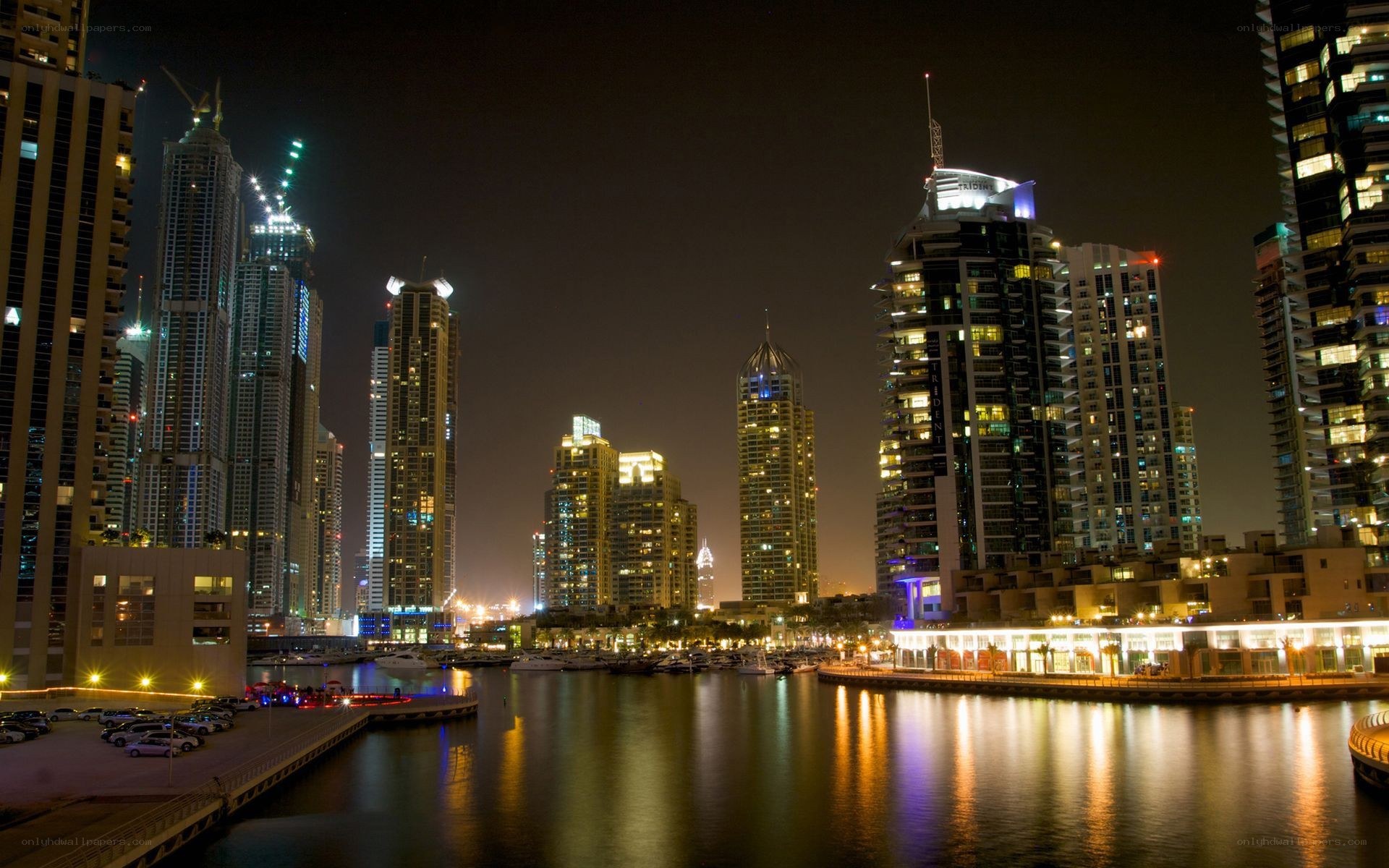 Dubai Marina at night
