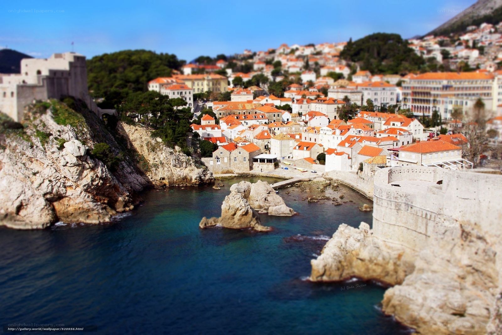 Dubrovnik old town coastal view