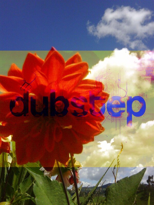 Dubstep text over flower