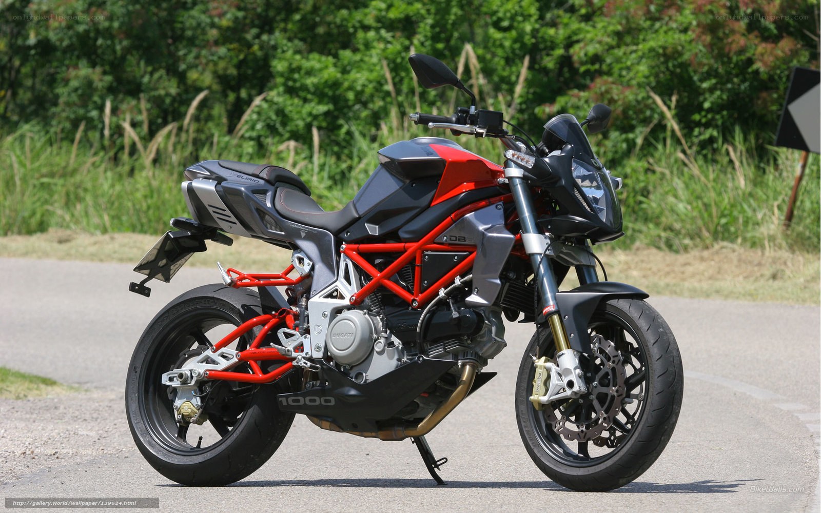 Ducati Diavel 1000 motorcycle