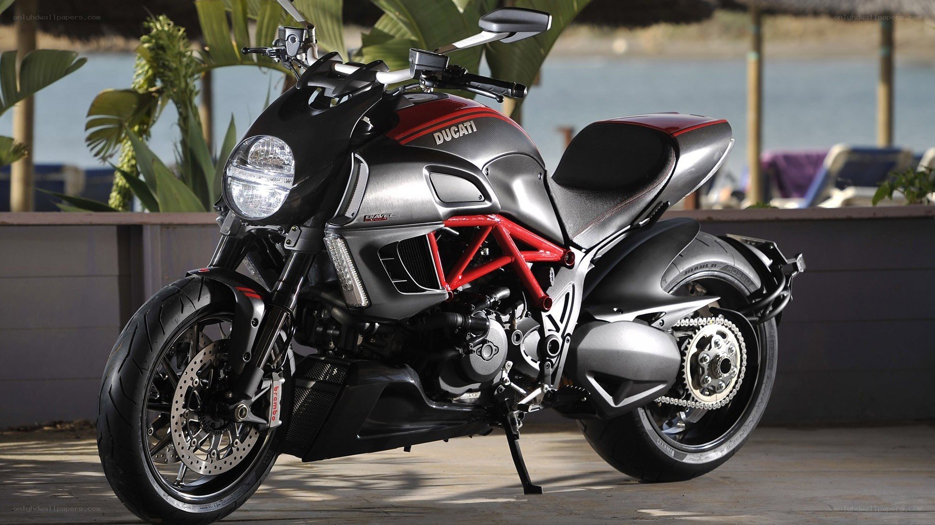 Ducati Diavel motorcycle