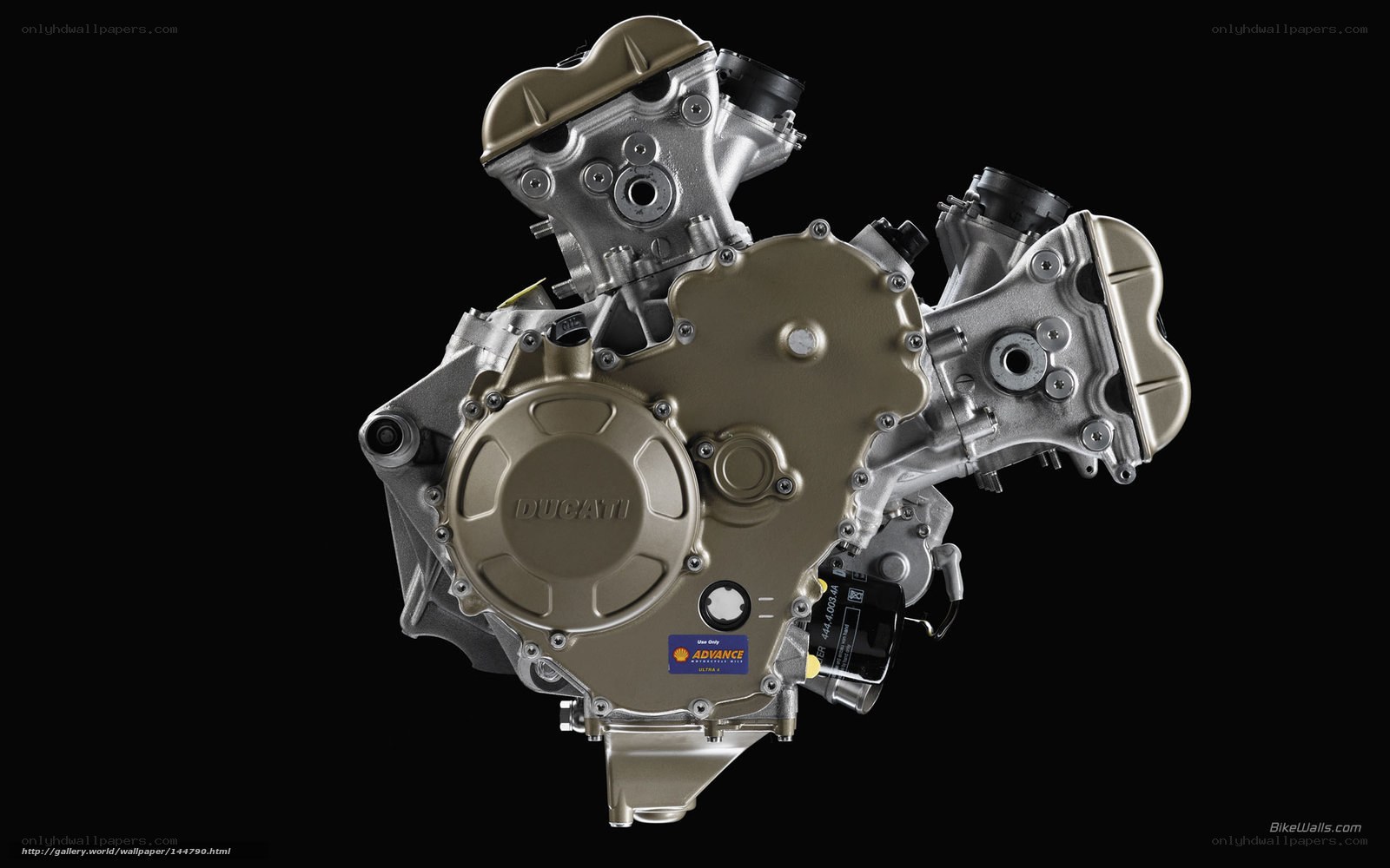 Ducati engine close-up