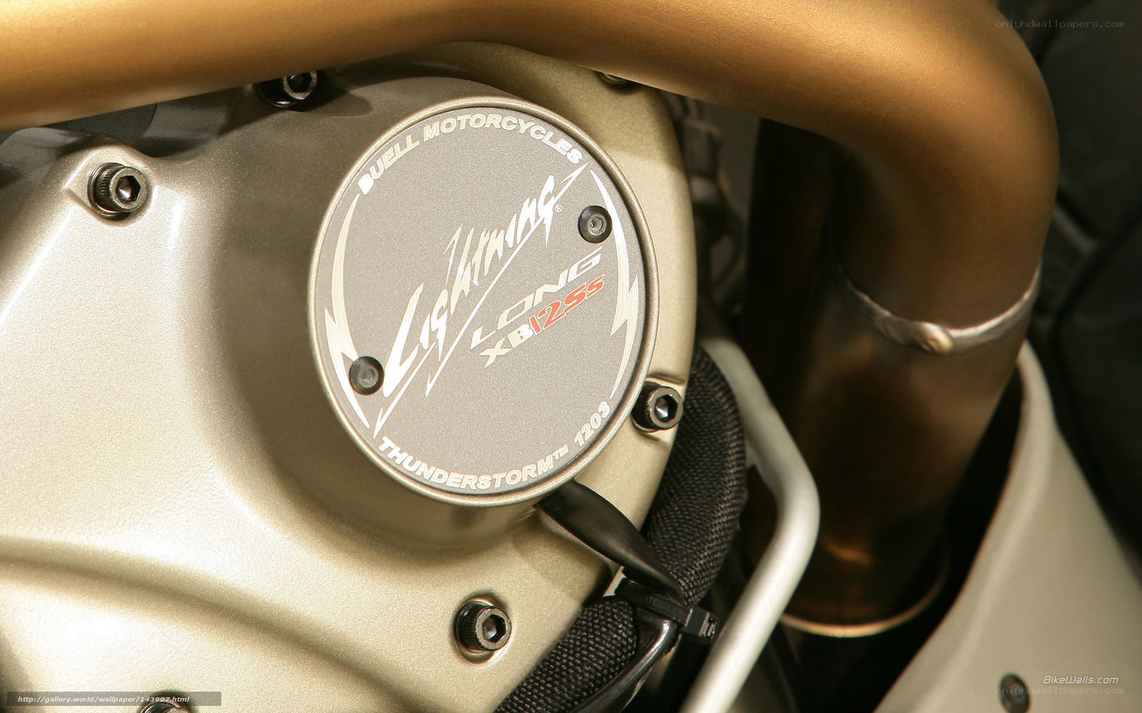 Ducati Lightning engine cover