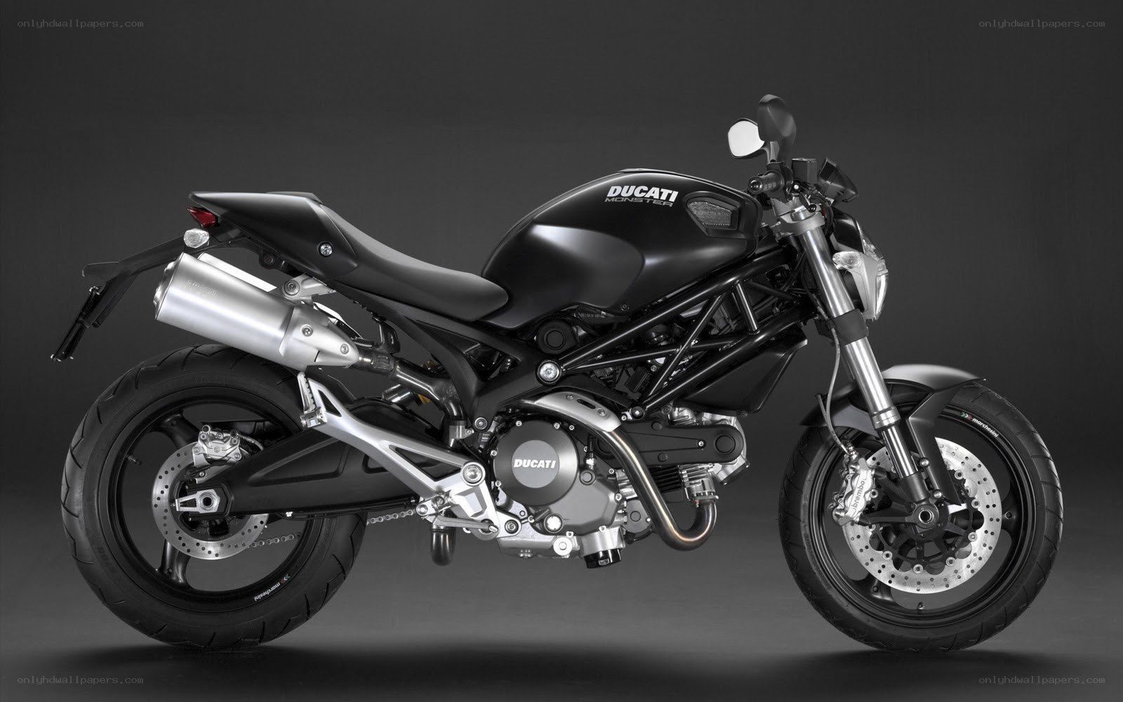 Ducati Monster motorcycle
