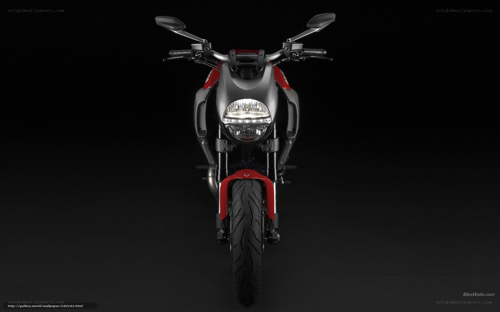 Ducati motorcycle front view