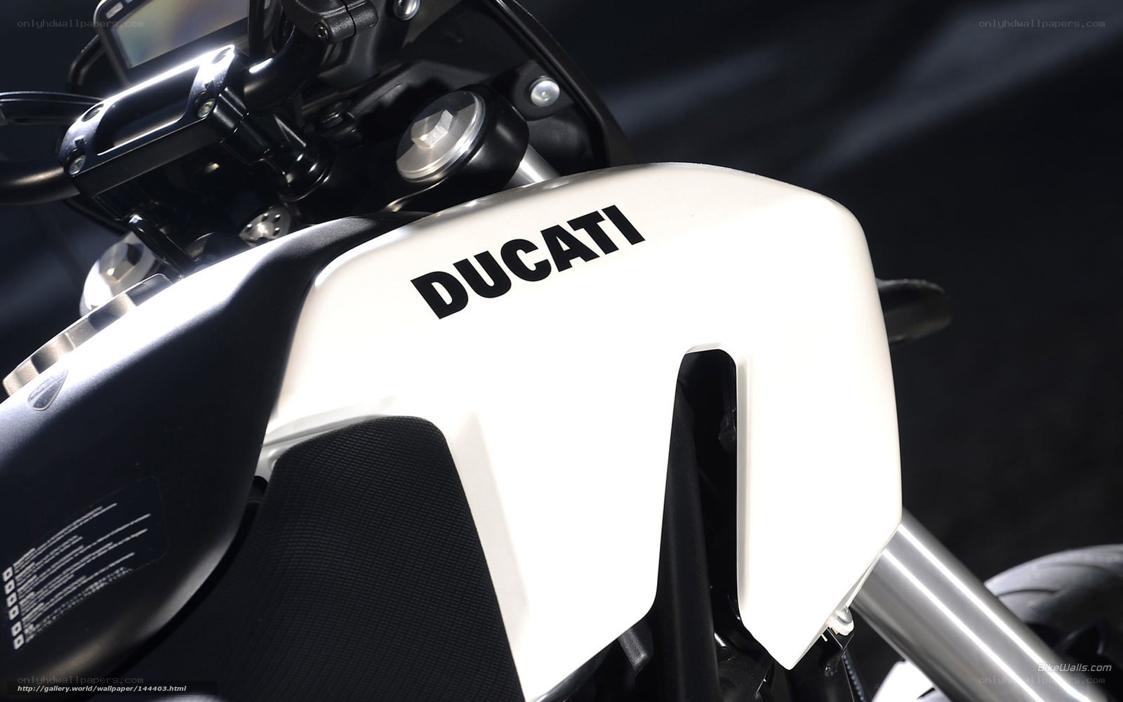 Ducati motorcycle front view