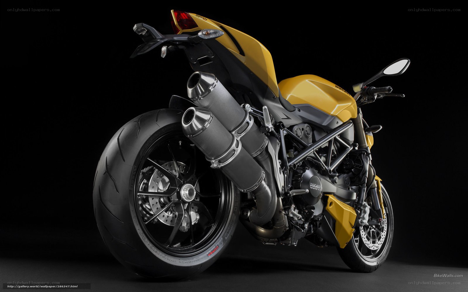 Ducati motorcycle in studio
