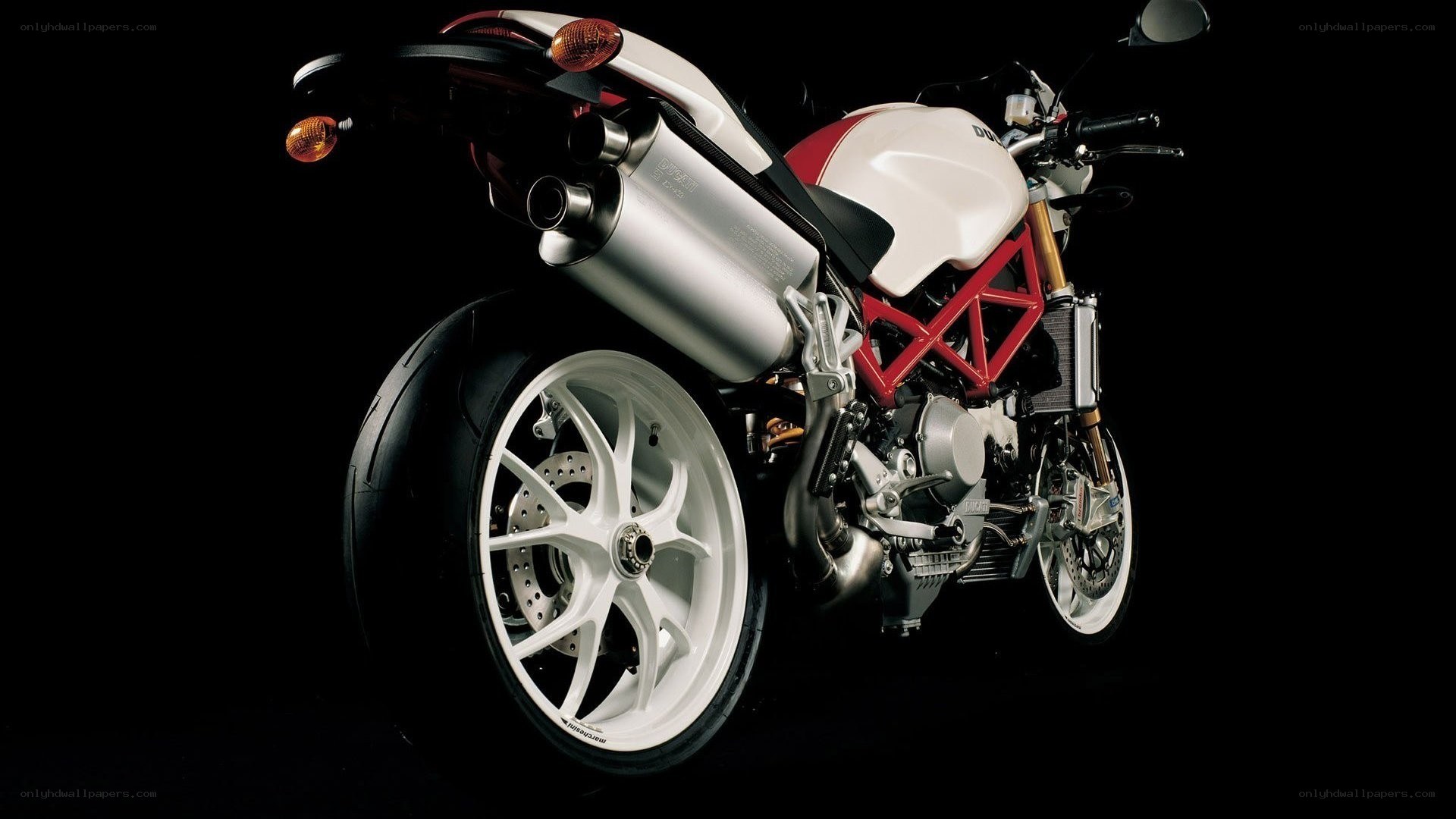 Ducati motorcycle in studio