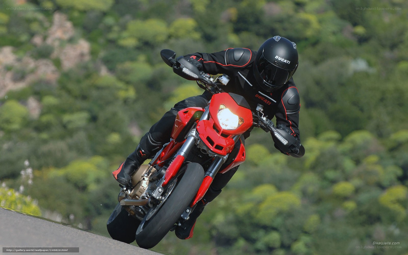 Ducati motorcycle on a winding road