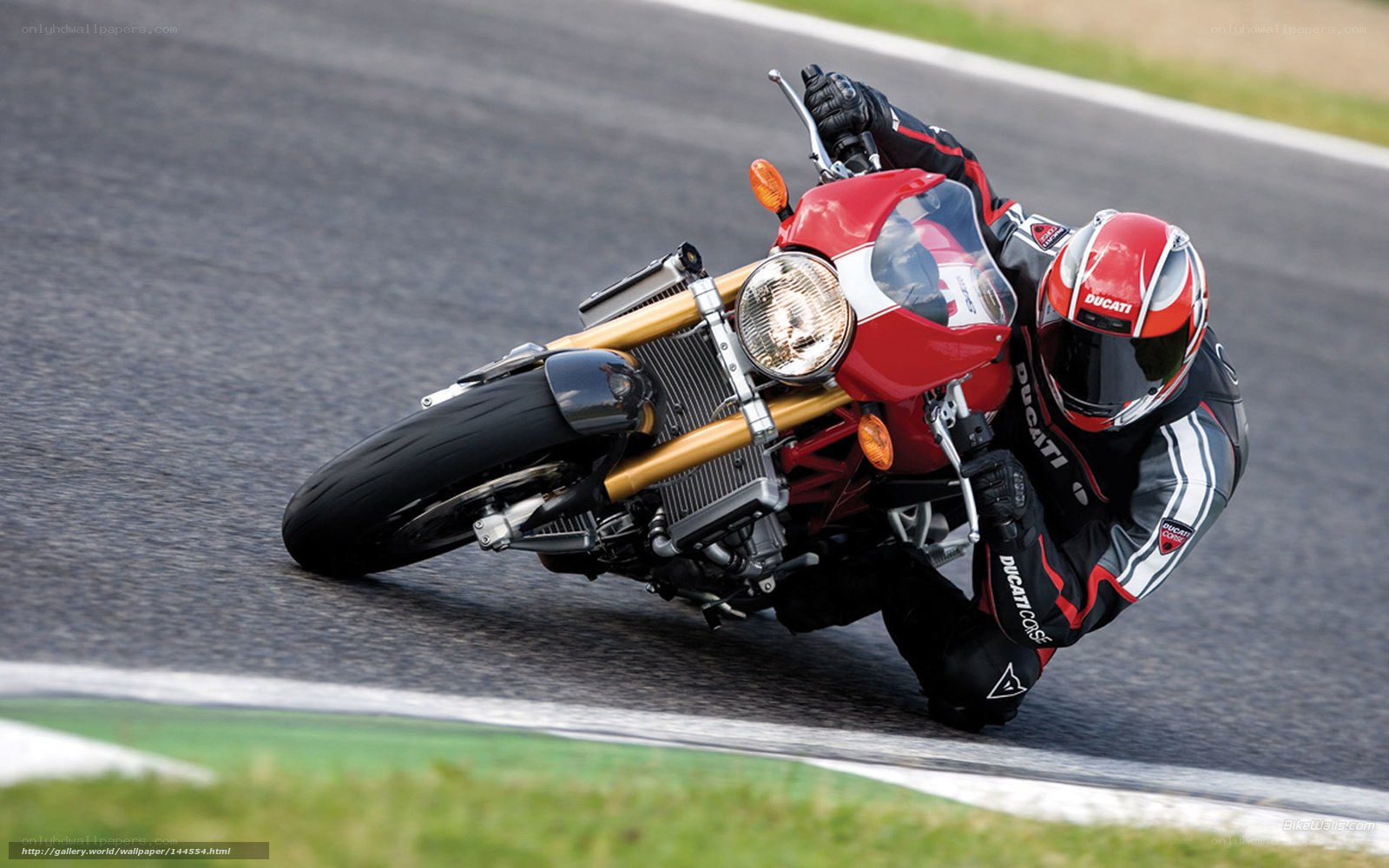 Ducati motorcycle on racetrack