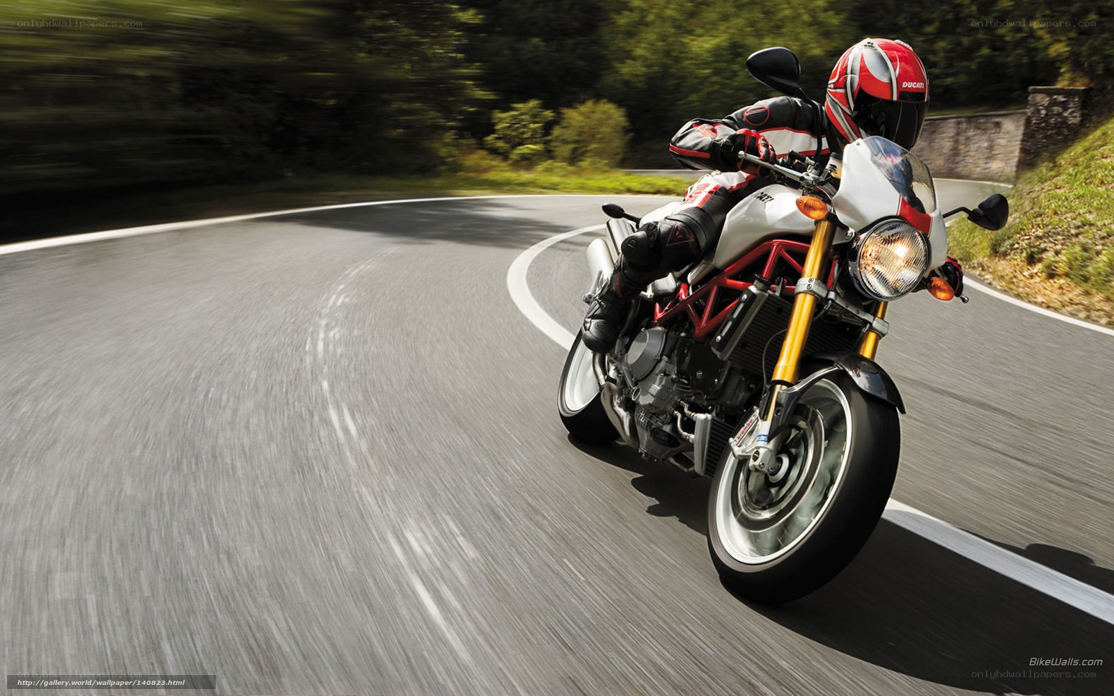 Ducati motorcycle on winding road