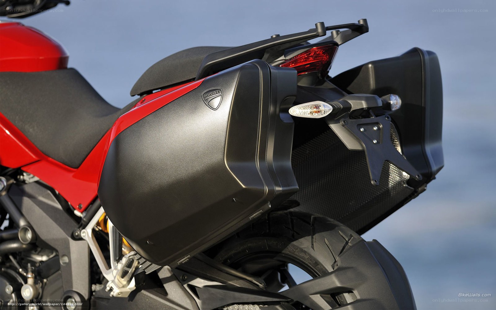 Ducati motorcycle rear view