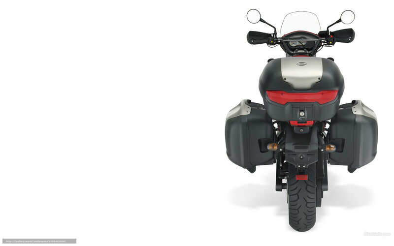 Ducati motorcycle rear view