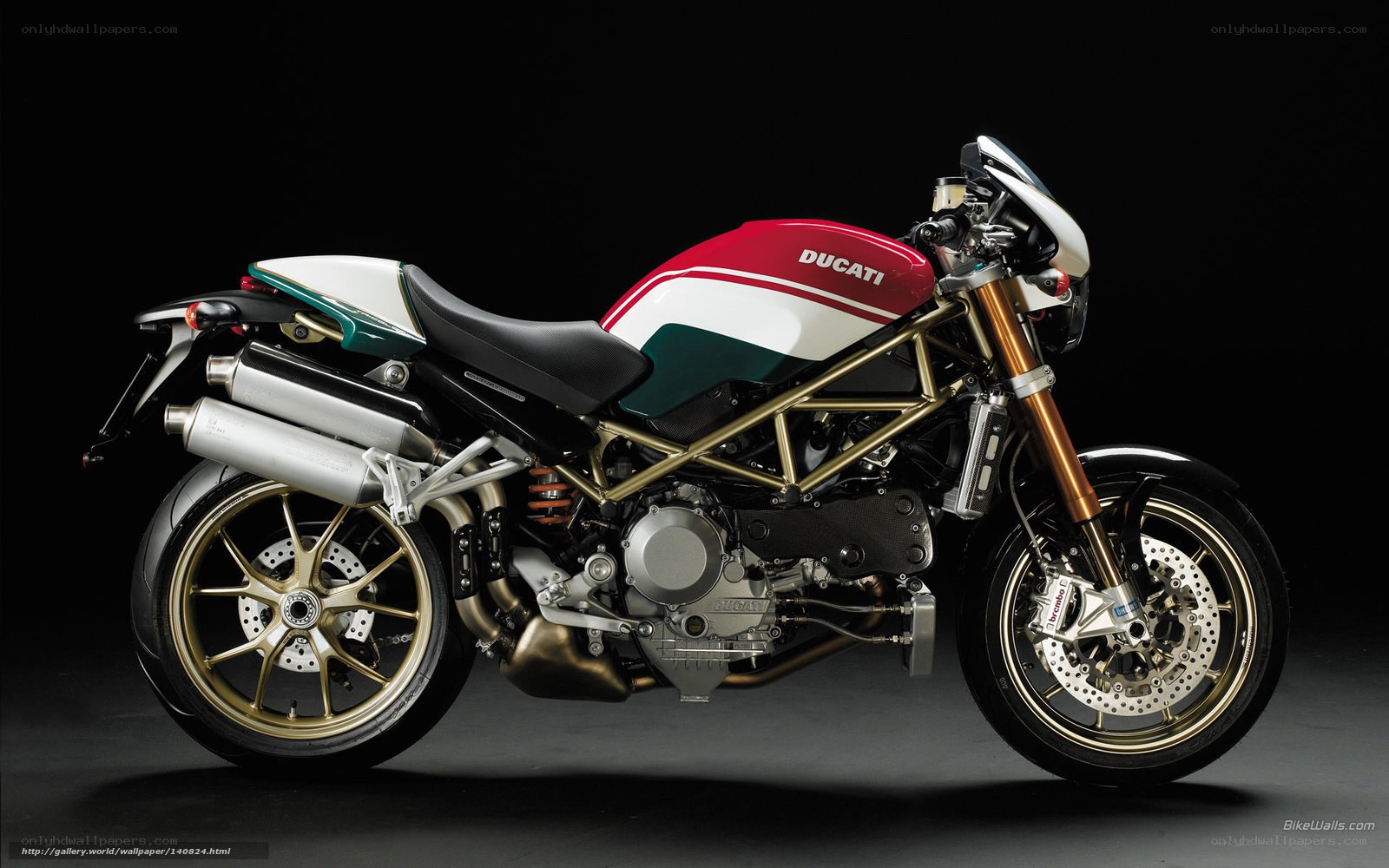 Ducati motorcycle side profile