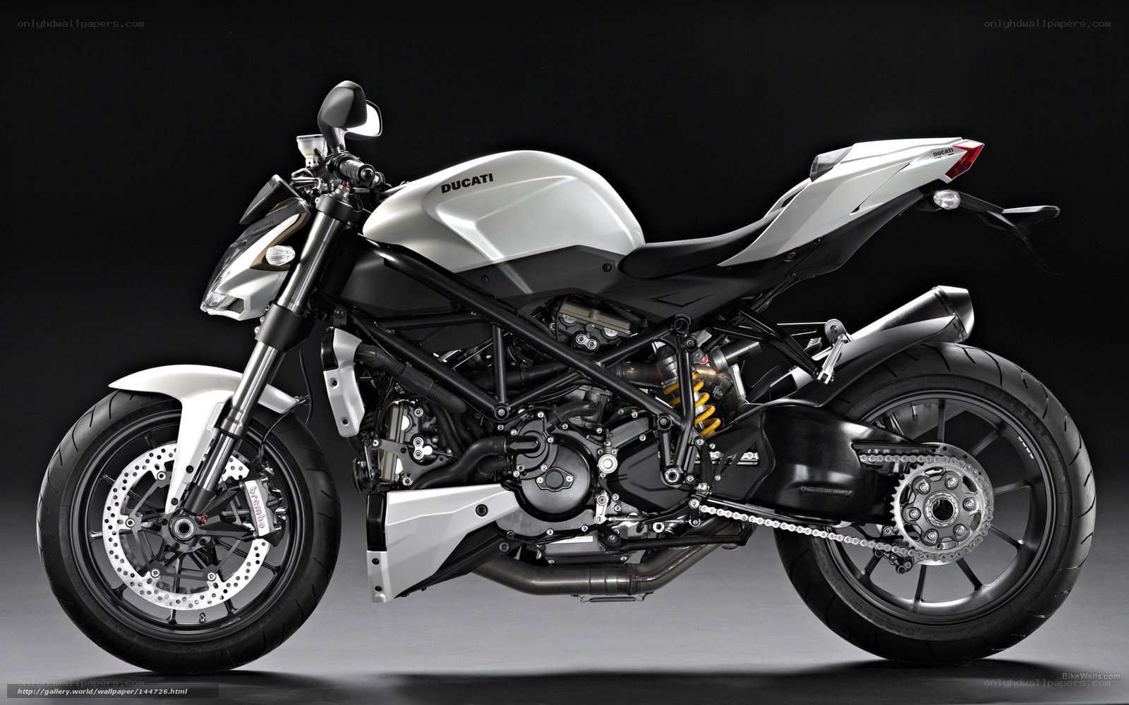 Ducati motorcycle side profile