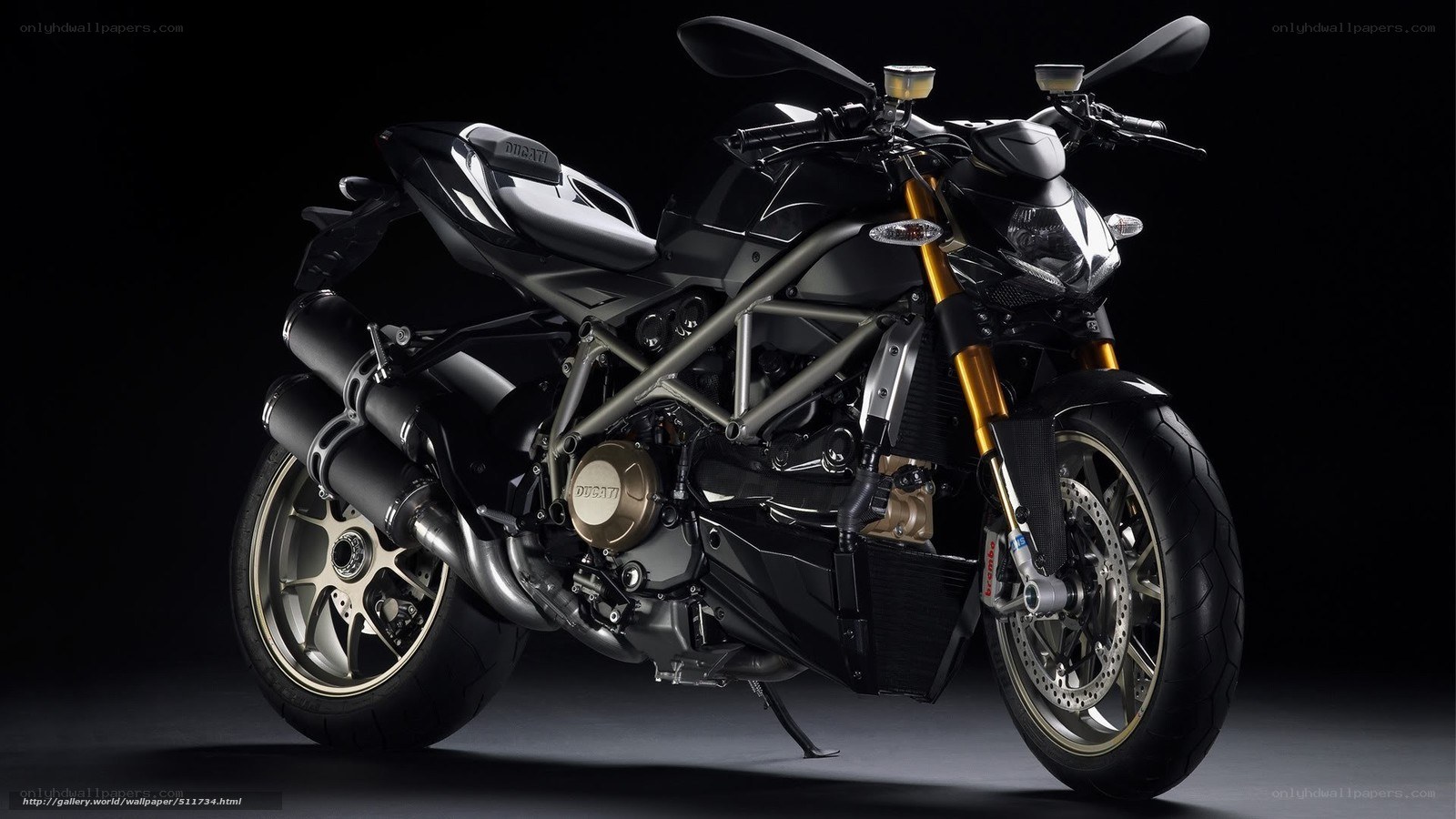 Ducati motorcycle studio shot