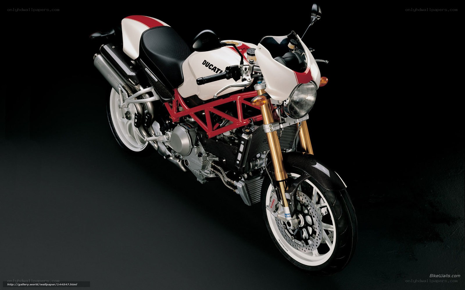 Ducati motorcycle studio shot