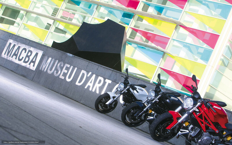 Ducati motorcycles at MACBA
