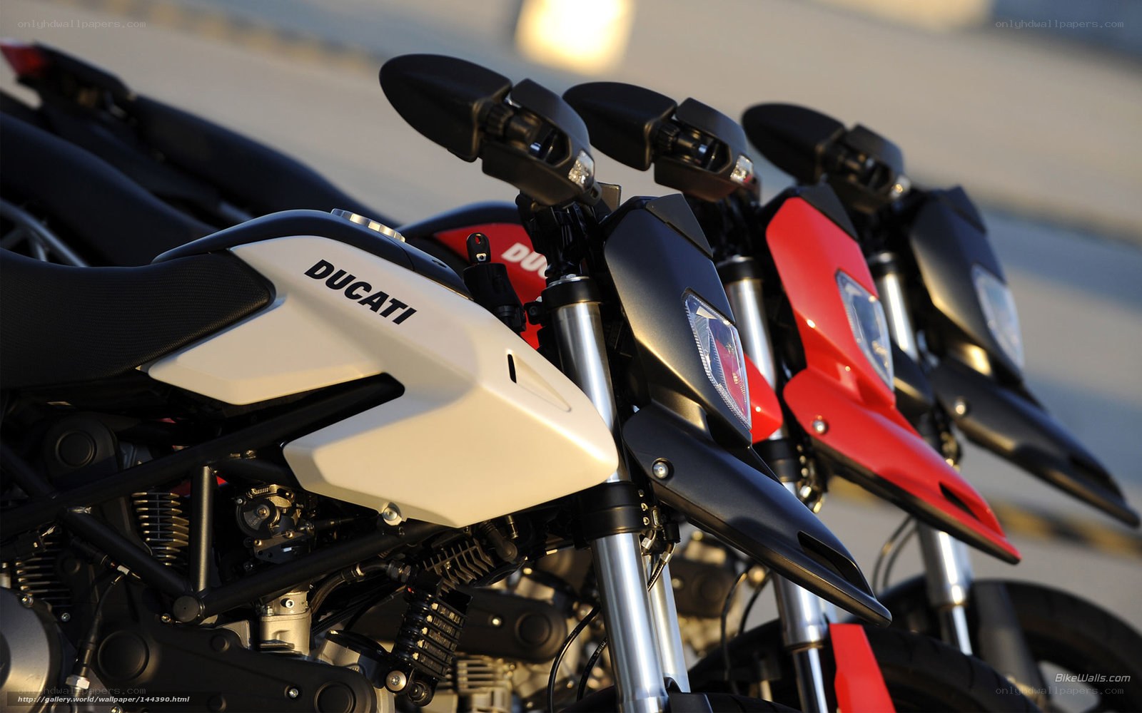 Ducati motorcycles in a row