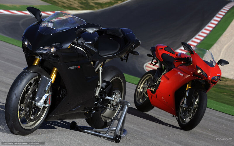 Ducati motorcycles on racetrack