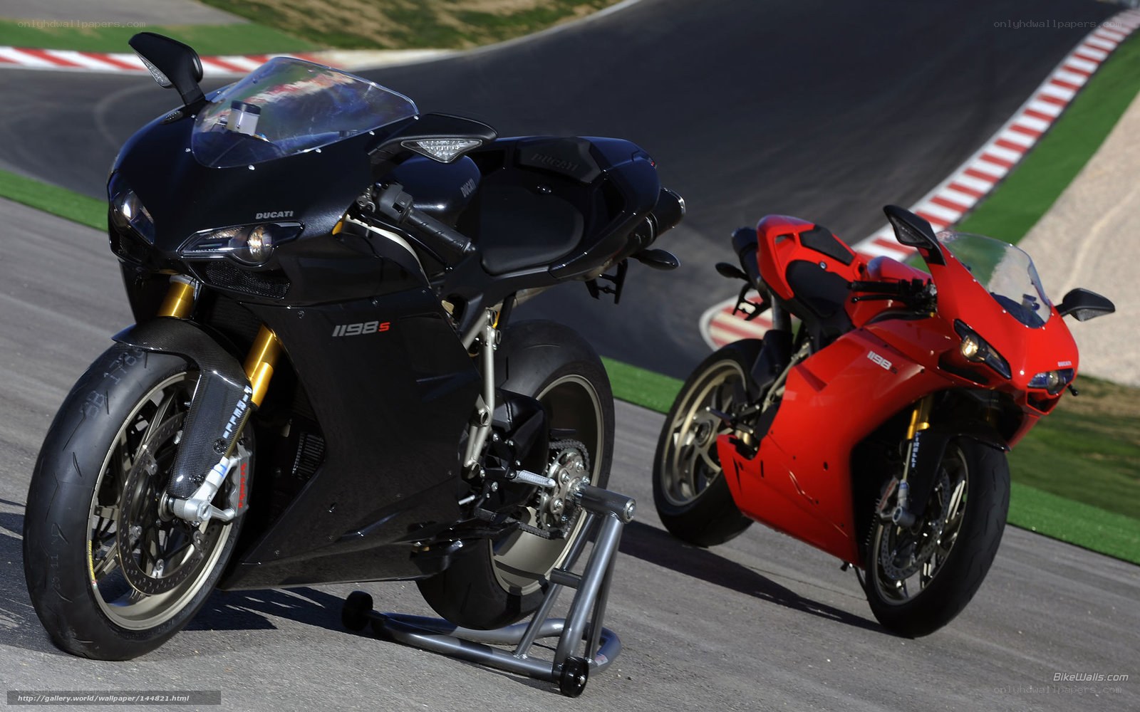 Ducati motorcycles on racetrack