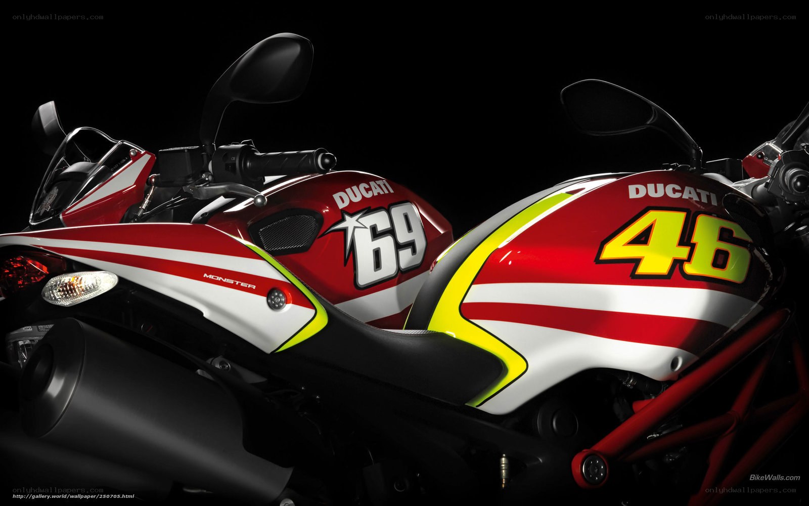 Ducati motorcycles with racing numbers