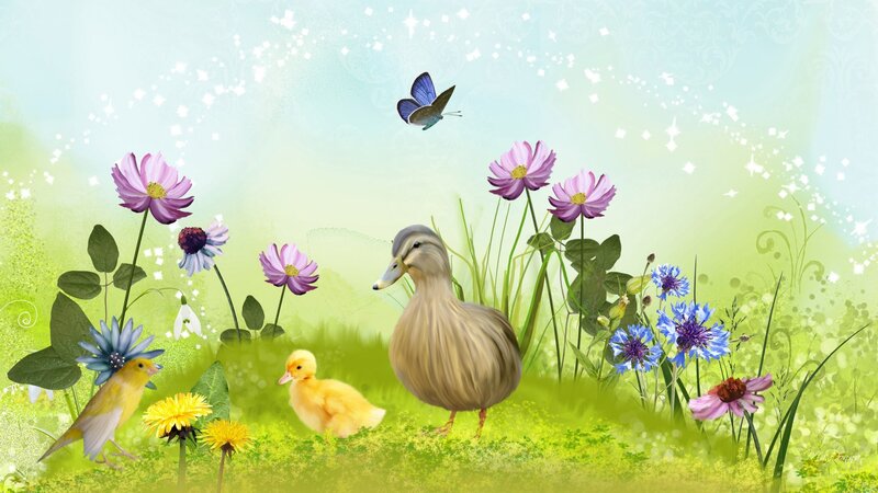 Duck and Duckling in Field