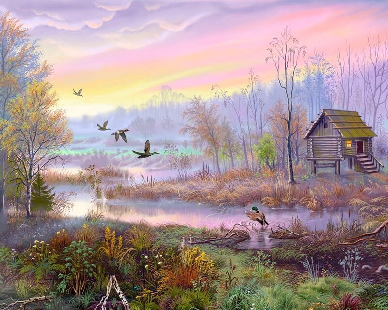 Duck at a lakeside cabin
