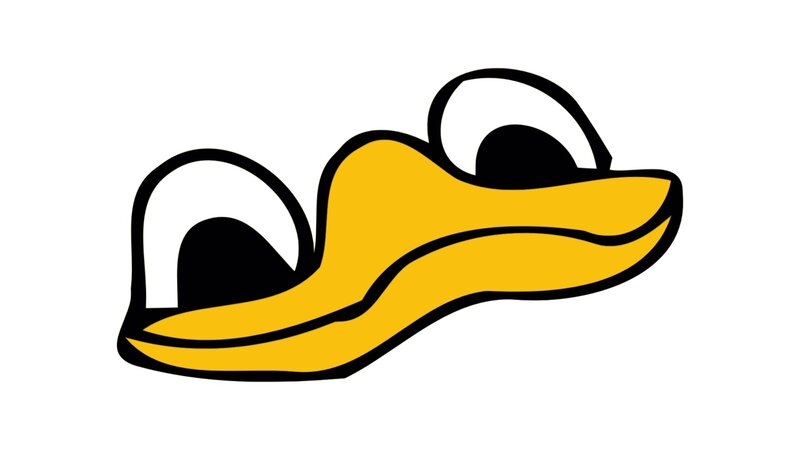 Duck Bill and Eyes