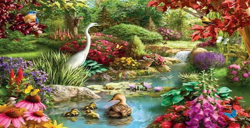 Duck Family in Pond — Green, Serene